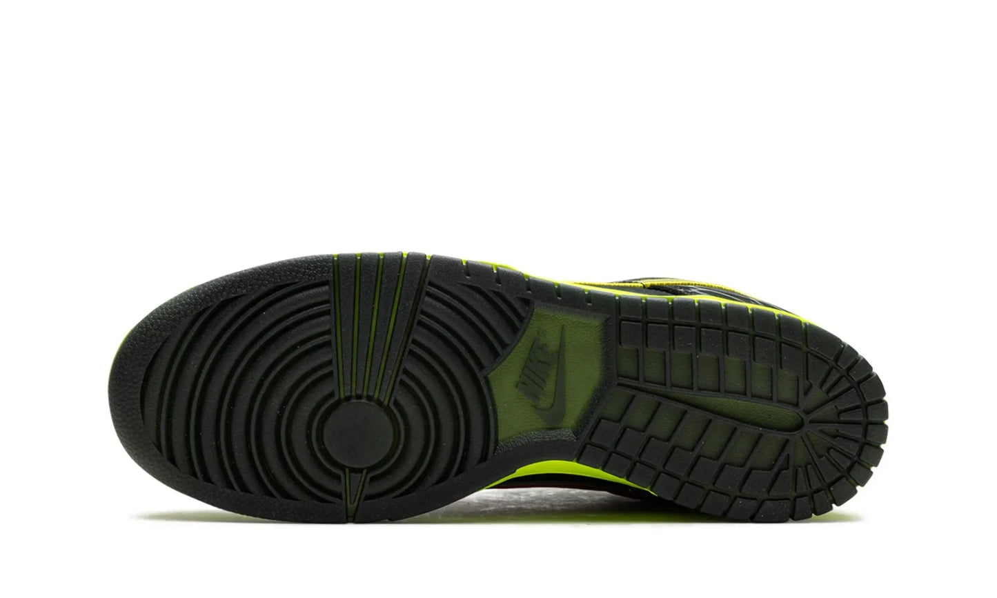 Nike Dunk Low What the Duck Home University of Oregon PE