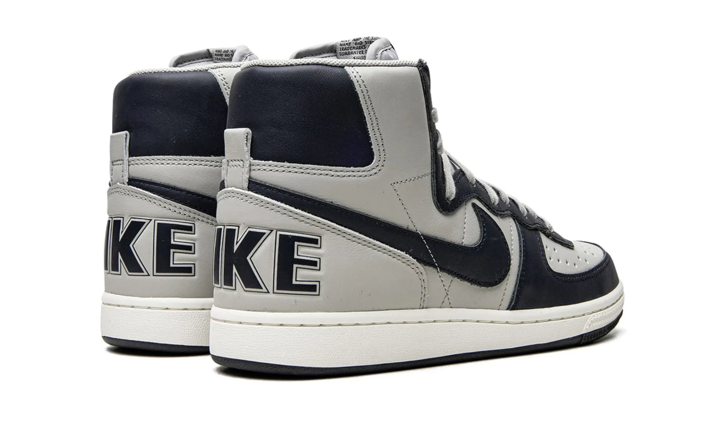 Nike Terminator High Georgetown (2022)