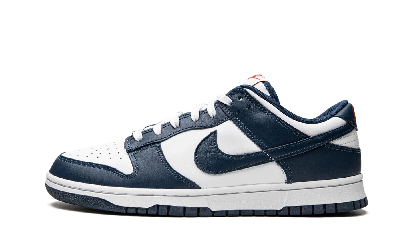 Nike Dunk Low Valerian Blue